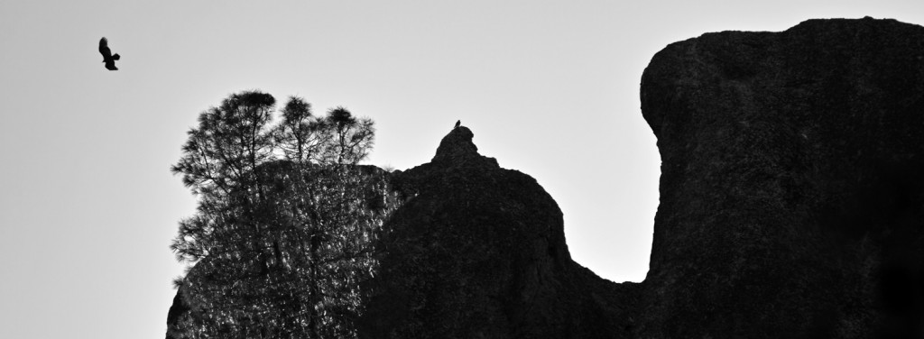 The bird soaring over the mountain was not the California Condor I wanted to see, but the entire landscape blended well together. © 2012 Ryuichi Oshimoto, taken with APO 50-500mm F4.5-6.3 DG OS HSM @500mm