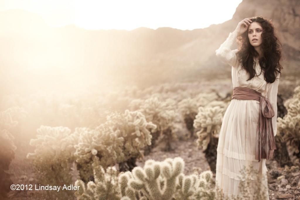 Caption: Here I have established the scene by having one of the models out in the desert. I wanted to give a feeling of desolation and loneliness. For this reason I had the model alone, appearing to look for someone in the distance. I included cactus in the frame and the mountains behind her in order to give that feeling of isolation. I also used a piece of plastic in front of the lens to create lensflare (to give the appearance of heat).  Lens: Sigma 50mm 1.4 | Camer: 5D Mark 2 | ISO 200 | Aperture 2.2 | Shutter speed 1/800 sec | No tripod | Lensflare tool (plastic) on left side | ©2012 Lindsay Adler