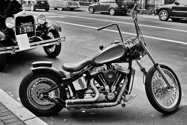 HarleySDIM0123_2030_Shrp_grain