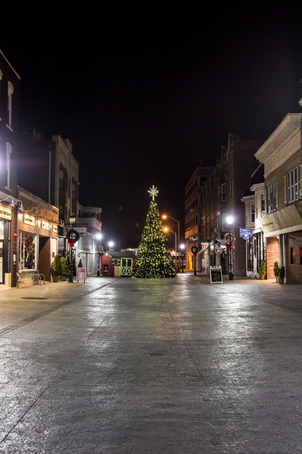 To give a feel for the overall range, here's a view of a town Christmas Tree at 24mm on the Rebel T3i.
