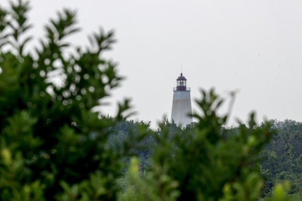Here, we are zoomed in to 200mm on the 120-300mm. Notice both how the lighthouse is larger in frame, and how the foreground greenery is more blurred, again at F/11.