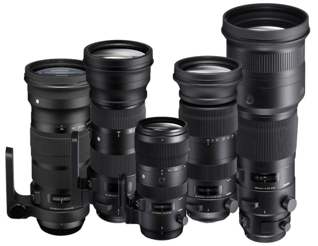 Edelsteen sieraden ontwikkeling What is a Zoom Lens? Why and When to Choose a Zoom Lens? | SIGMA Blog