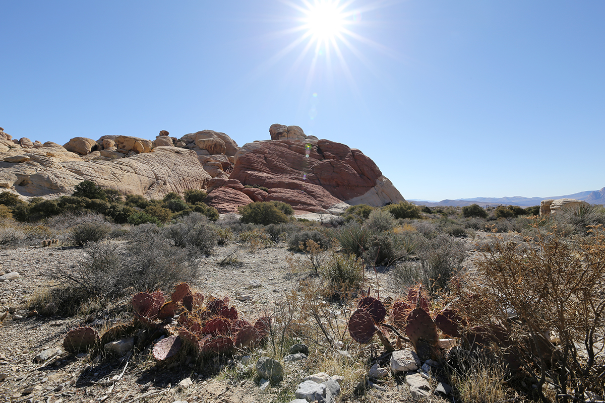 red-rock-canyon-14-24mm-01