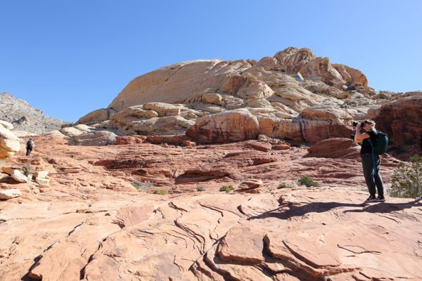 red-rock-canyon-14-24mm-08