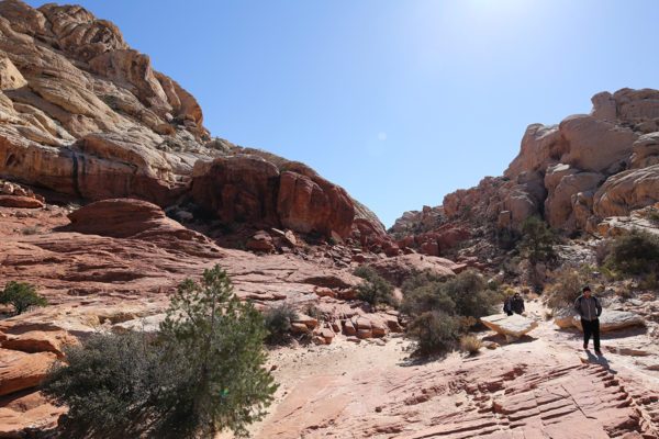 red-rock-canyon-14-24mm-11