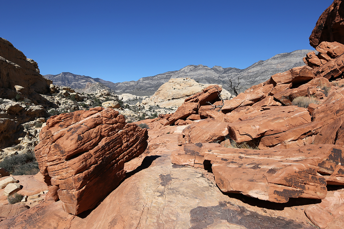 red-rock-canyon-14-24mm-14