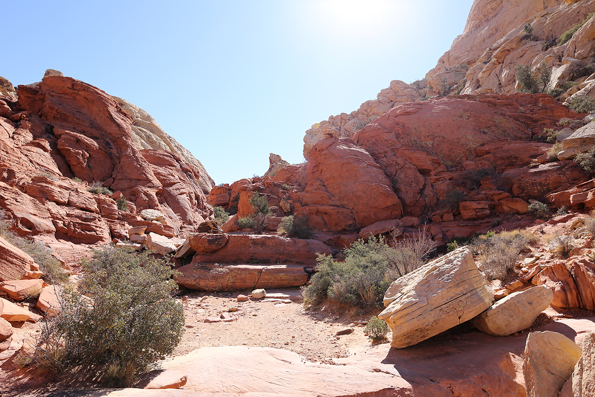 red-rock-canyon-14-24mm-15