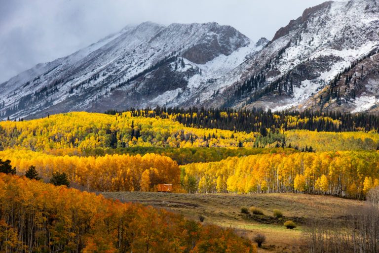 The Call of Fall Foliage | SIGMA Blog