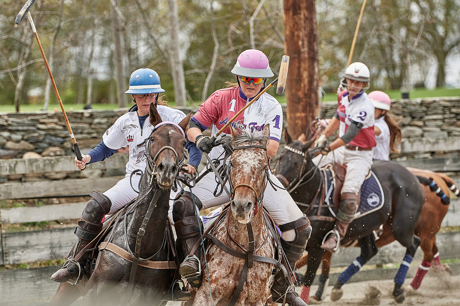 Hands-on Review: Shooting Arena Polo with the SIGMA 70-200mm F2.8