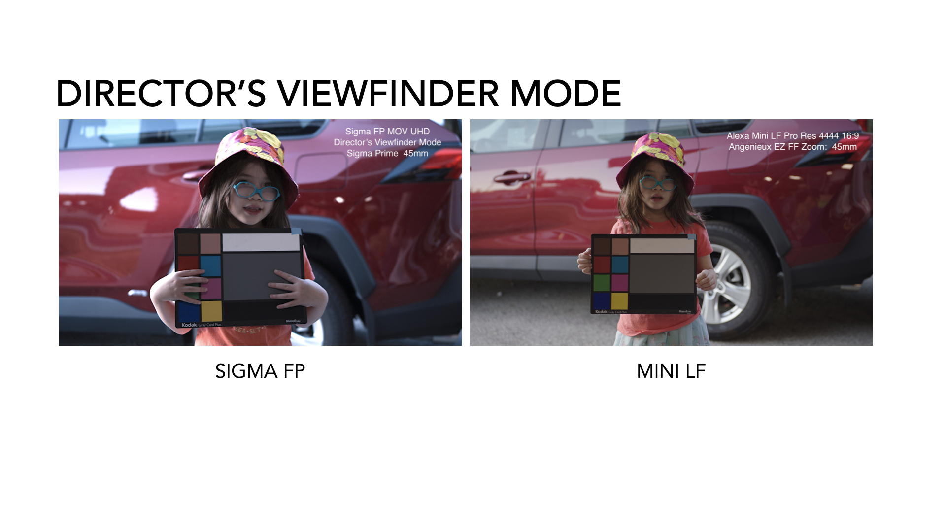 fp case study: Director's Viewfinder Mode