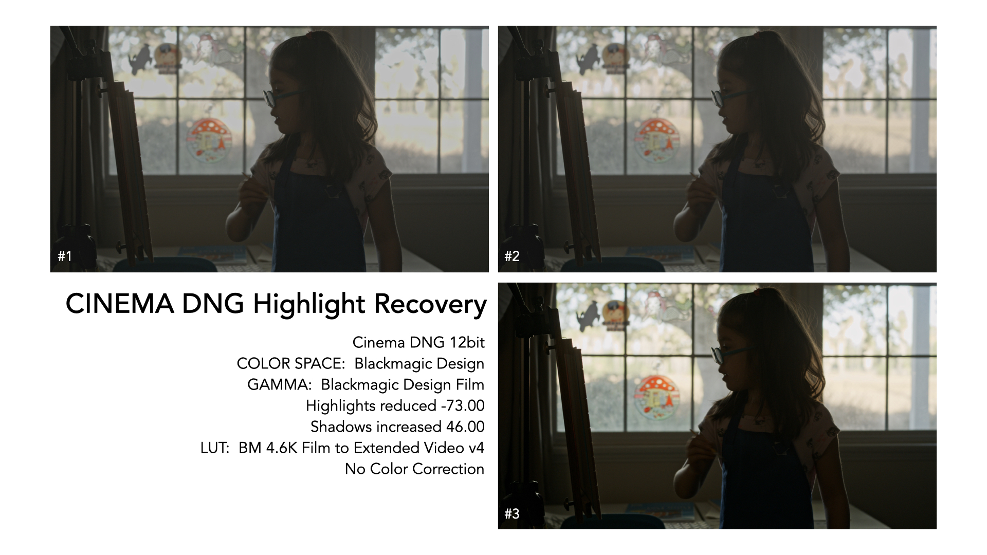 fp case study: DNG Highlight recovery