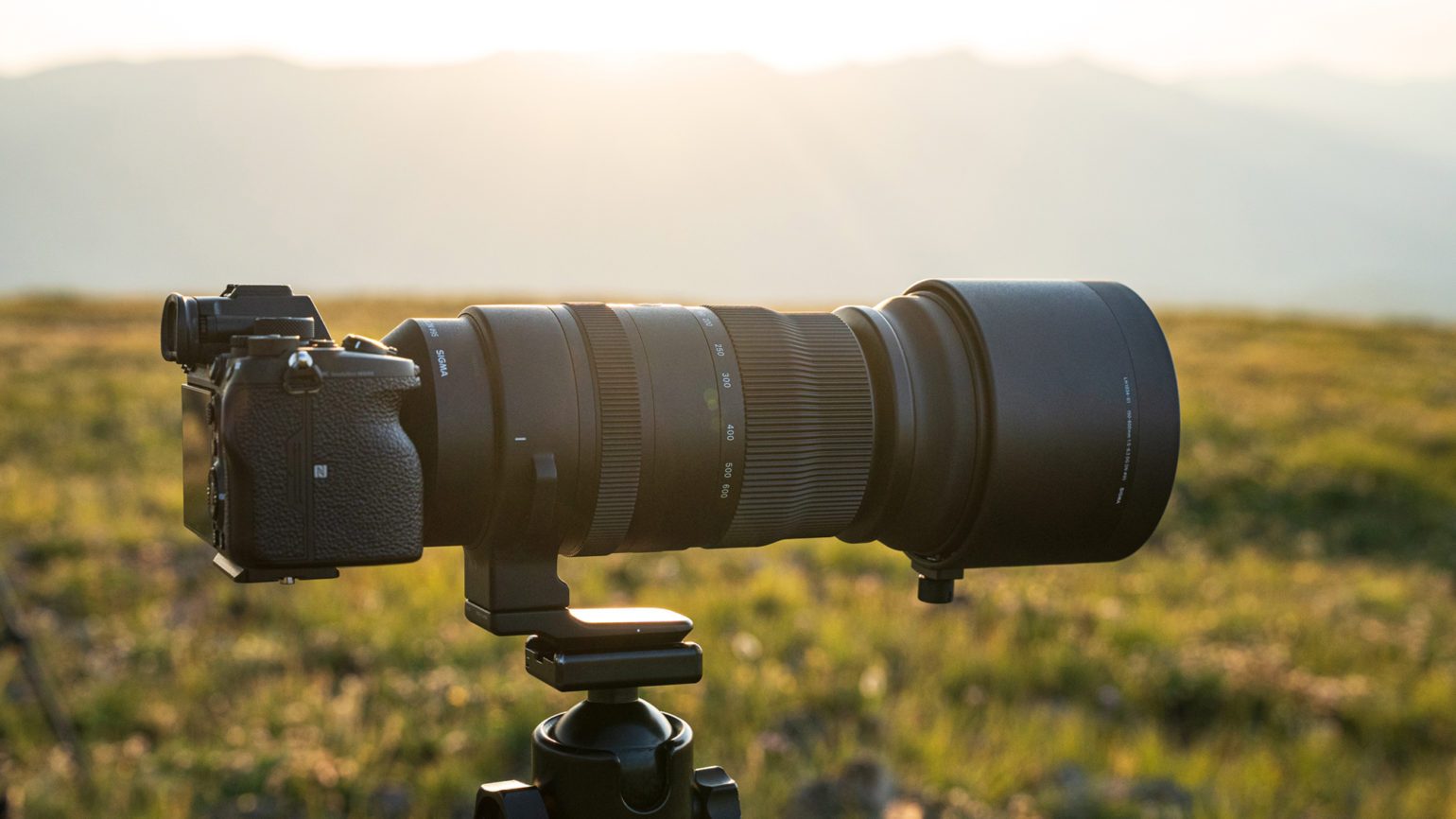 First Look: SIGMA 150-600mm F5-6.3 DG DN OS Sports Lens | SIGMA Blog