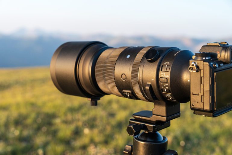 First Look: SIGMA 150-600mm F5-6.3 DG DN OS Sports Lens | SIGMA Blog