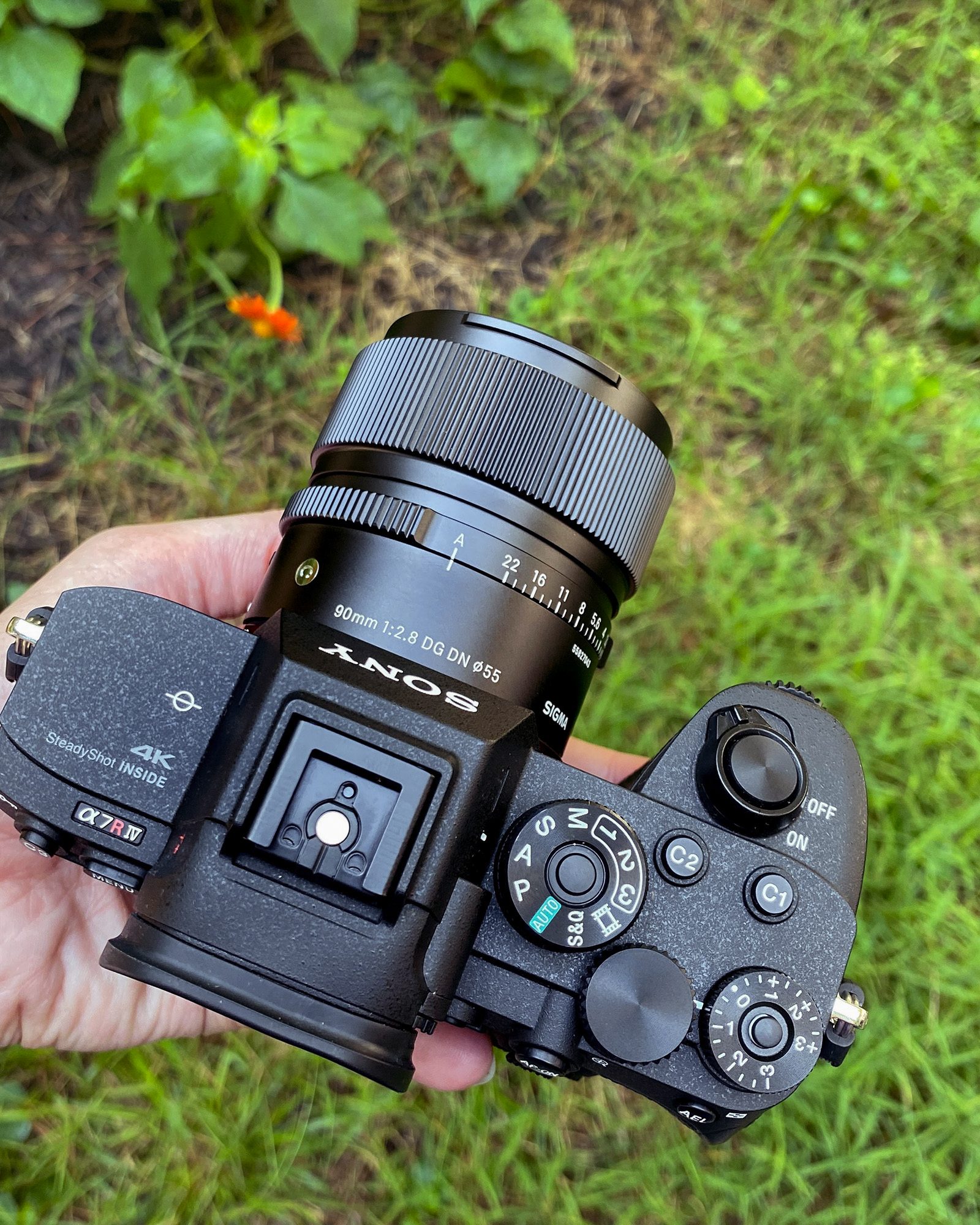 First Look: SIGMA 90mm F2.8 DG DN Contemporary Lens | SIGMA Blog