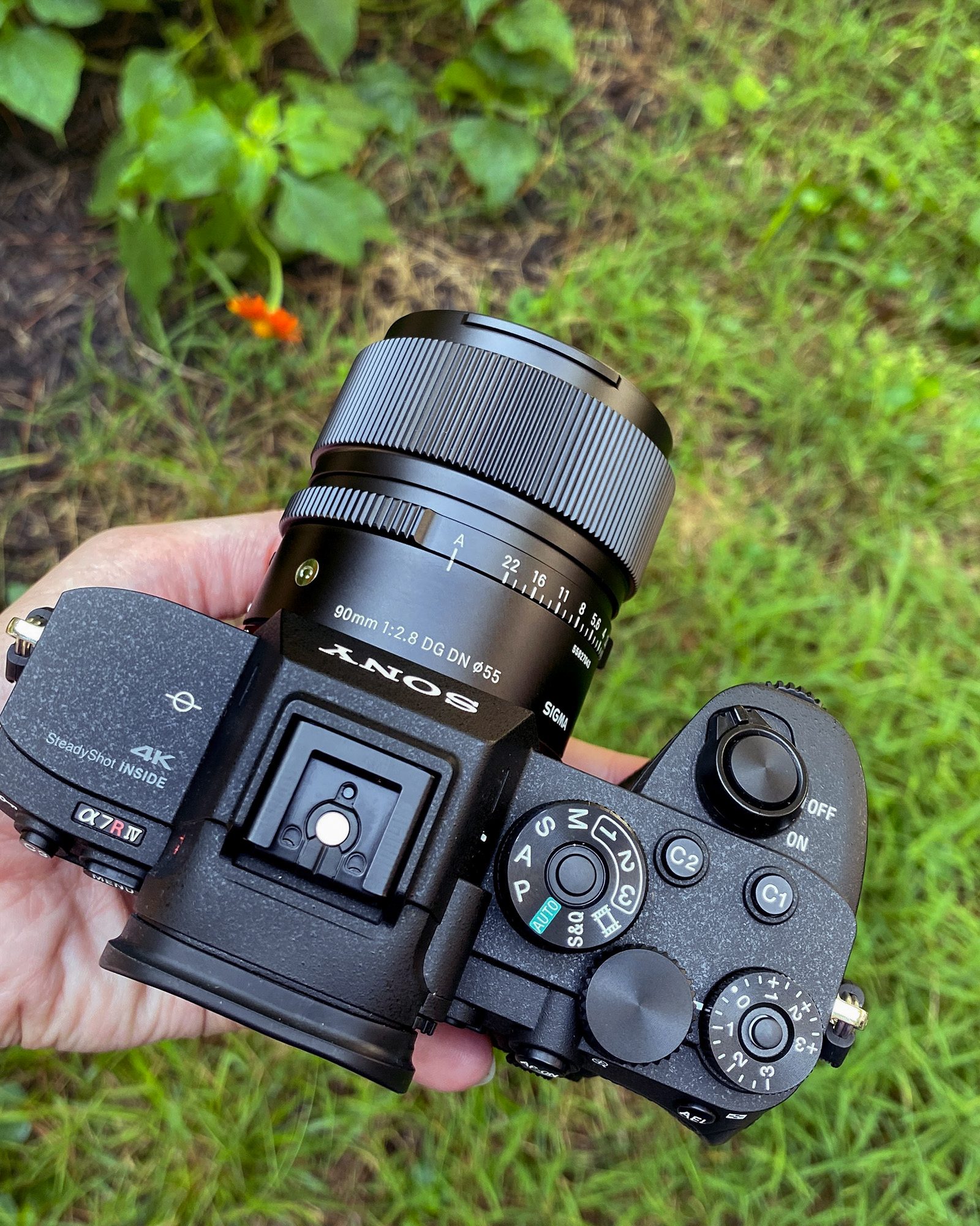 Sigma 90mm F2.8 DG DN Contemporary Per Sony E-Mount, Obiettivo Mirrorless Compatto Con 11 Elementi E Protezione Da Polvere