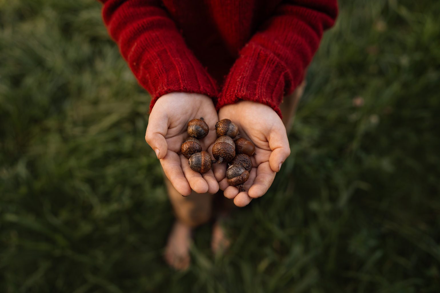 Creating Timeless Moments with the SIGMA 35mm F1.4 DG DN Art Lens ...