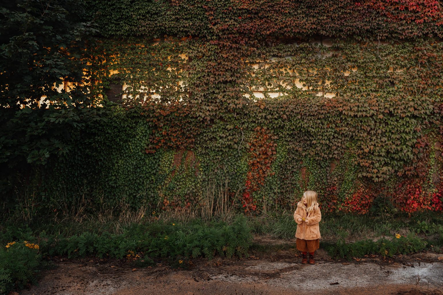 Creating Timeless Moments with the SIGMA 35mm F1.4 DG DN Art Lens ...