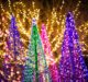 Photographing Holiday Lights with SIGMA DG DN Art Lenses