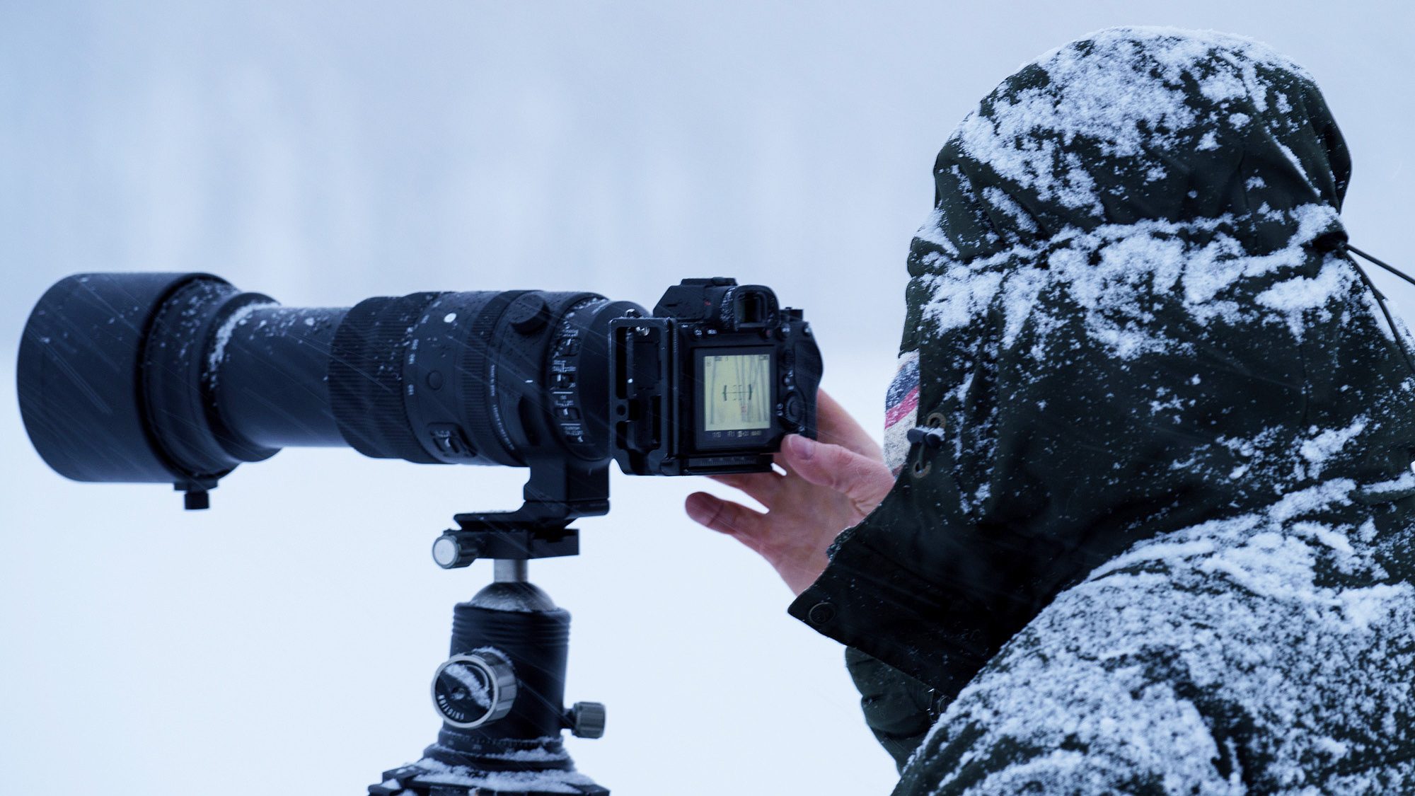 Sony 200–600mm Lens: User Guide for Wildlife Photographers
