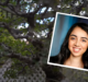 SIGMA University Student Q&A – Sofia Ayerdi, California State University Northridge