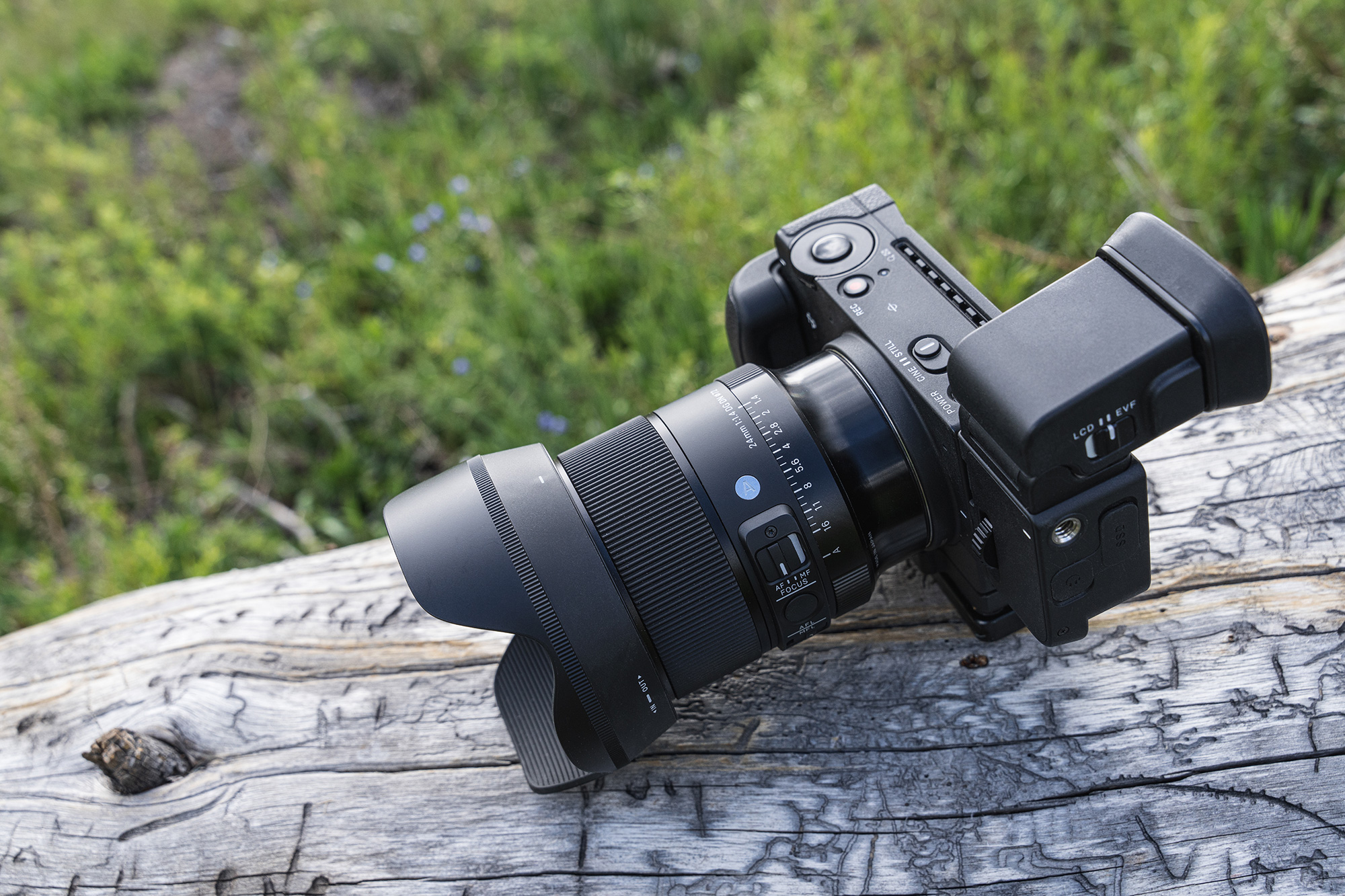 First Look: SIGMA 24mm F1.4 DG DN Art Lens | SIGMA Blog