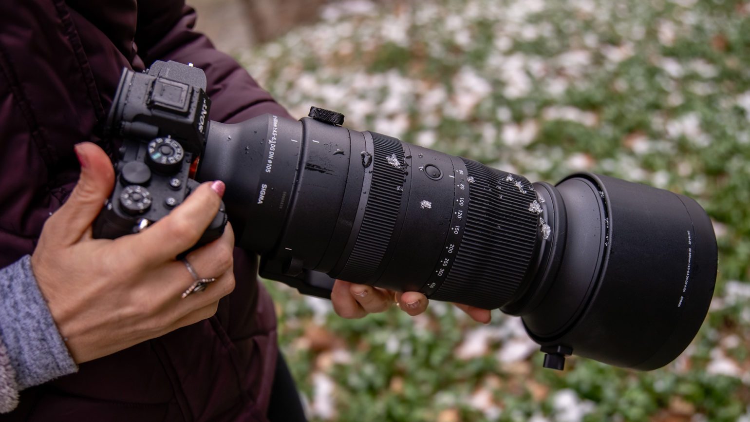 First Look: SIGMA 60-600mm F4.5-6.3 DG DN OS Sports Lens | SIGMA Blog