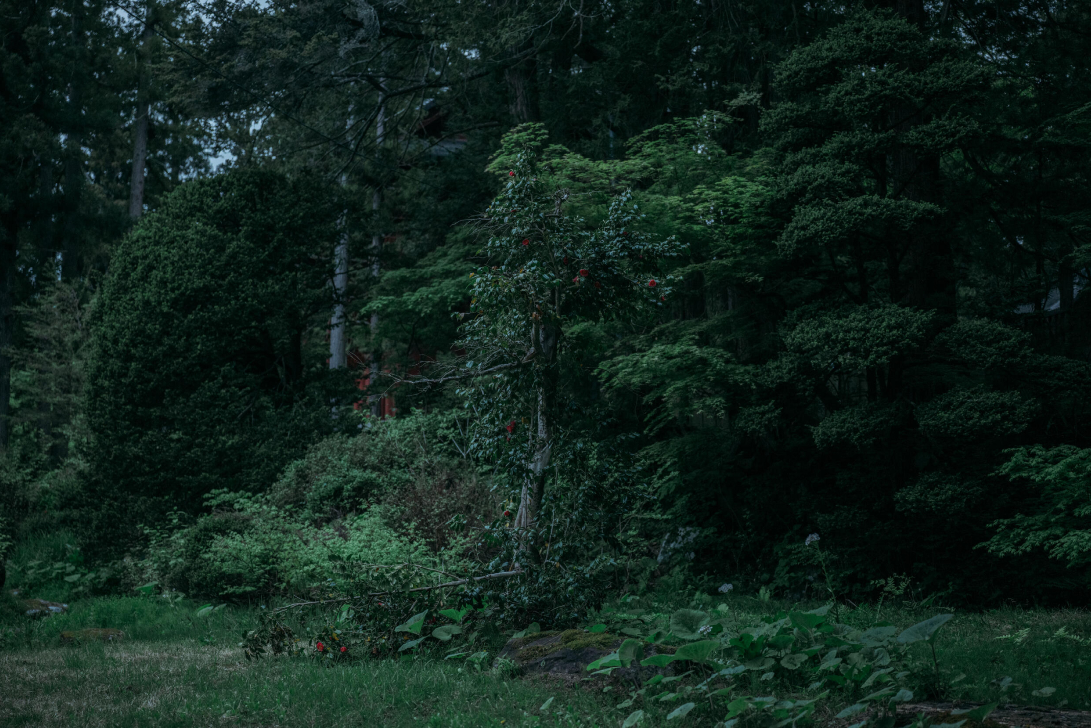 The threads between traditional crafts and the beauty of the land