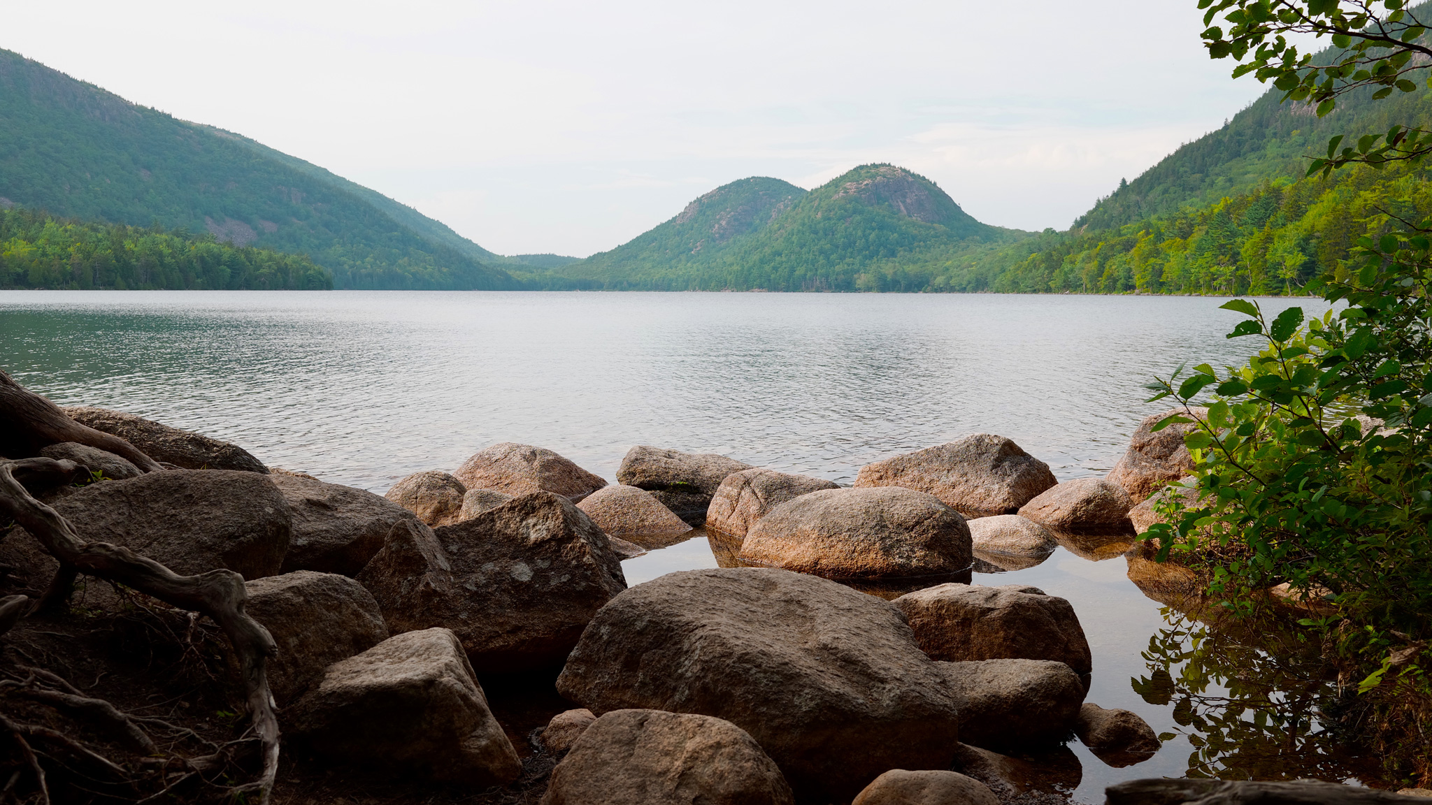 Photo Gallery: A Simple Sojourn Into Nature with the Sigma BF Camera