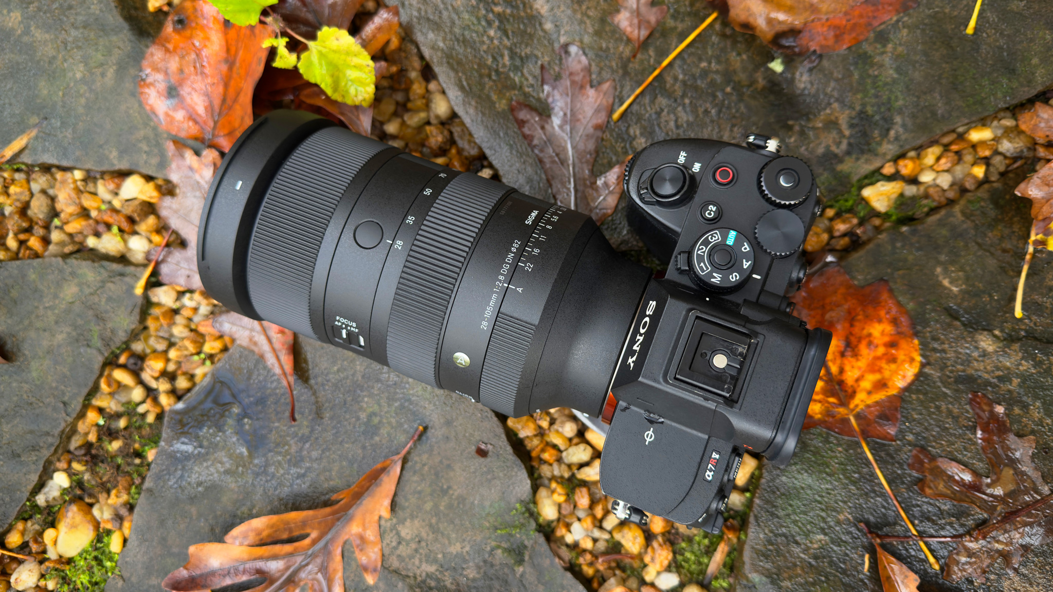 The Essence of Garden Photography with the Sigma 28-105mm F2.8 DG DN Art Lens