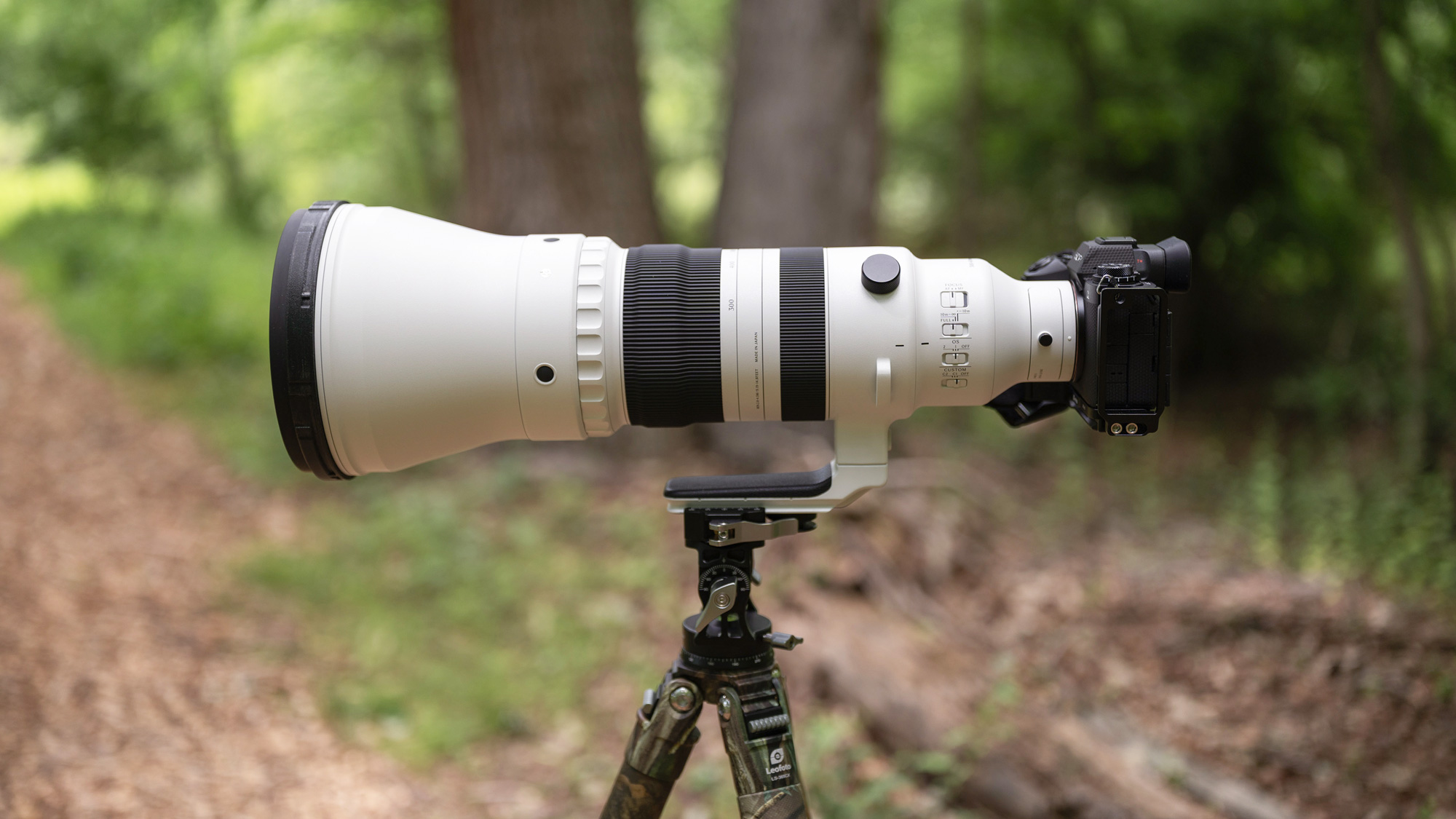 The Powerful, One-of-a-Kind Sigma 300-600mm F4 DG OS Sports Lens