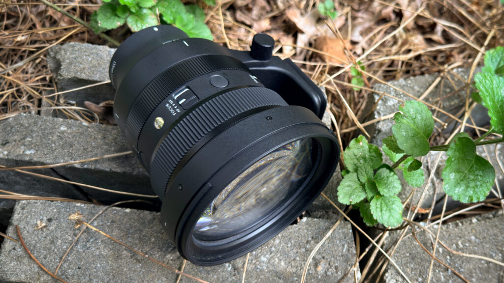 3 Million Frames Later: Why I Trust Sigma Lenses to Handle Anything