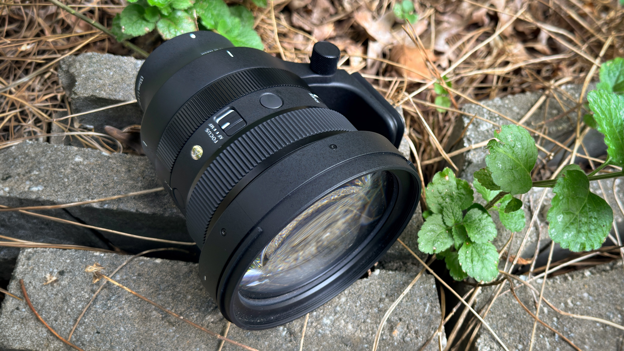 3 Million Frames Later: Why I Trust Sigma Lenses to Handle Anything