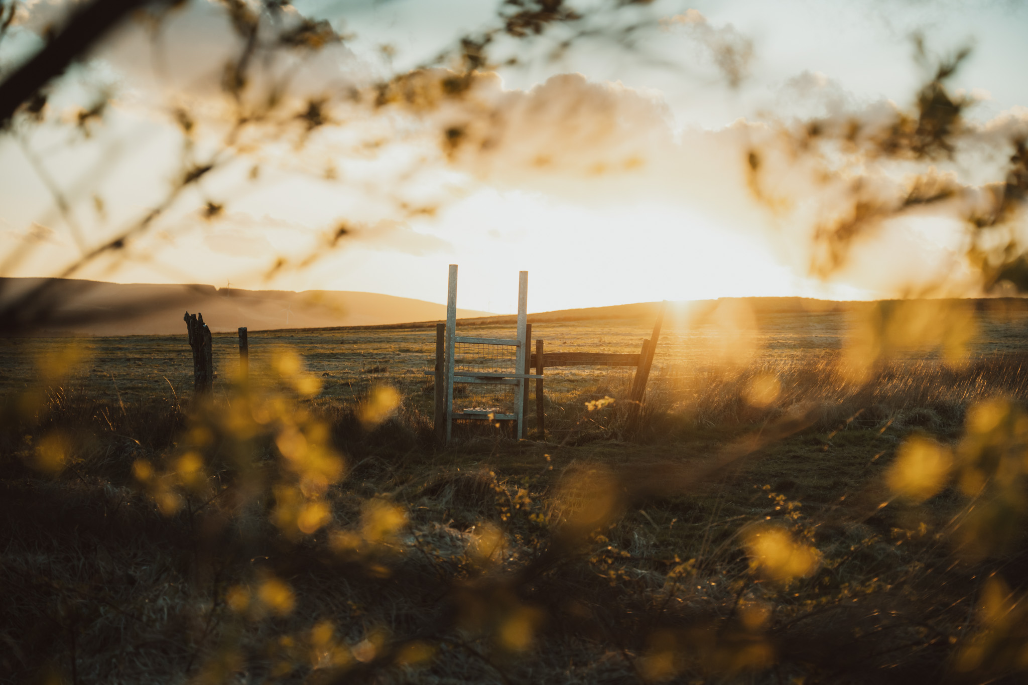 Capturing the Adventure Ahead with the Sigma 20-60mm F2.8-4 DG Contemporary Zoom Lens