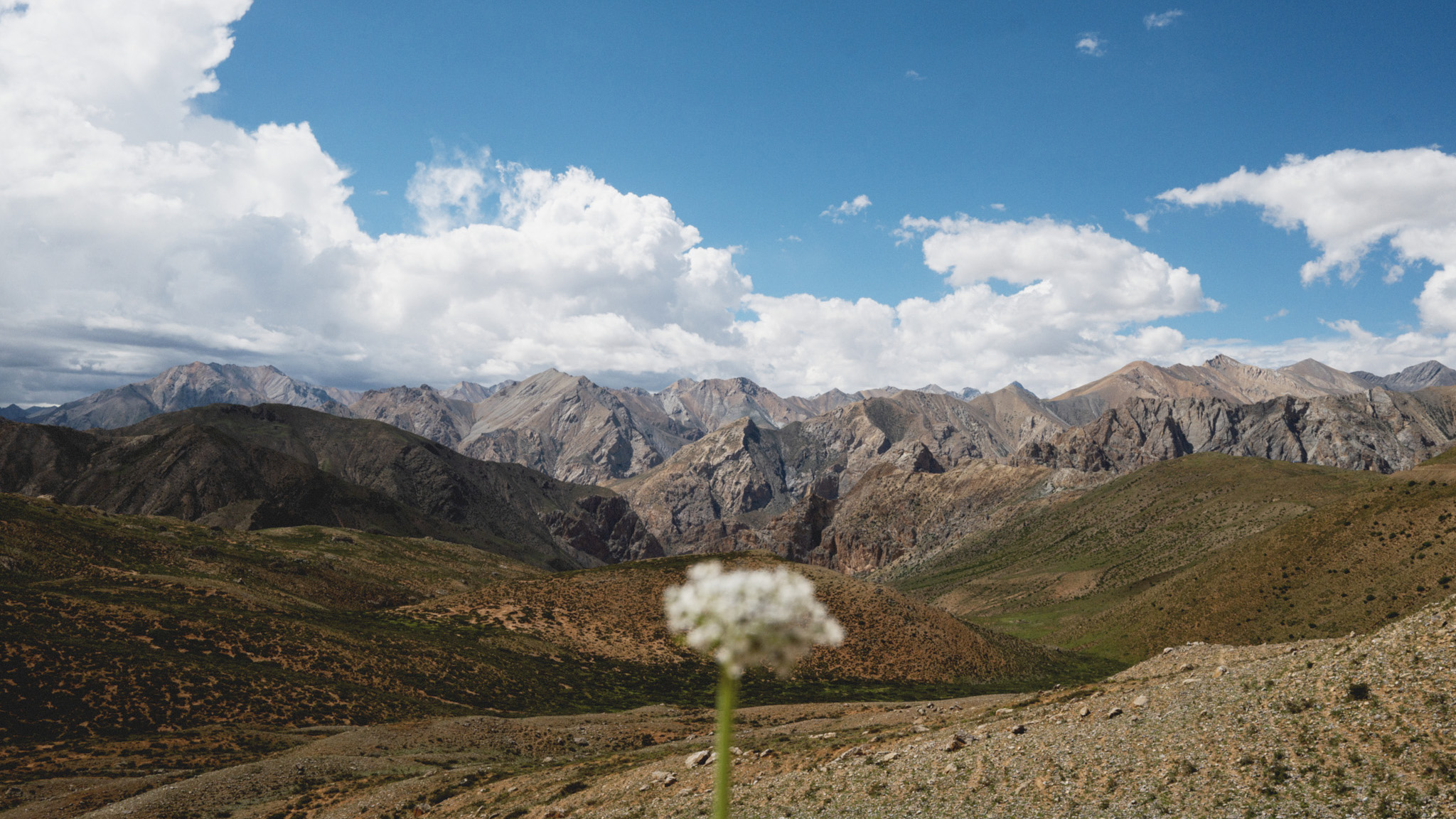 Captured with the Sigma FP2: Your Eyes Nepal