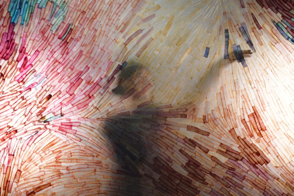 Loumi’s Hatsuyume: Photographing Unique Art with the Sigma 50mm F1.4 CL DG Contemporary Lens